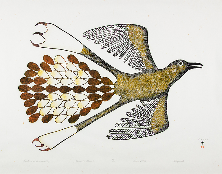 Bird in a Summer Sky by Kenojuak Ashevak