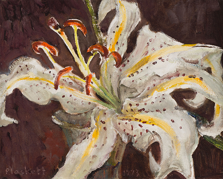 Tiger Lily by Joseph Francis (Joe) Plaskett