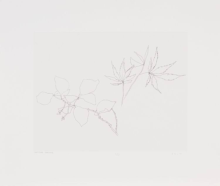 Untitled, Botanicals par Gordon Appelbe Smith