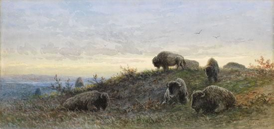 Buffalo par Frederick Arthur Verner