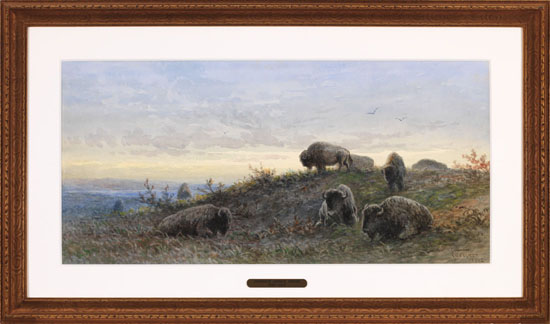 Buffalo par Frederick Arthur Verner