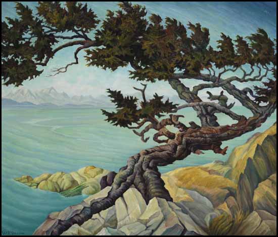 Windswept Fir – Albert Head, Vancouver Island par William Percival (W.P.) Weston