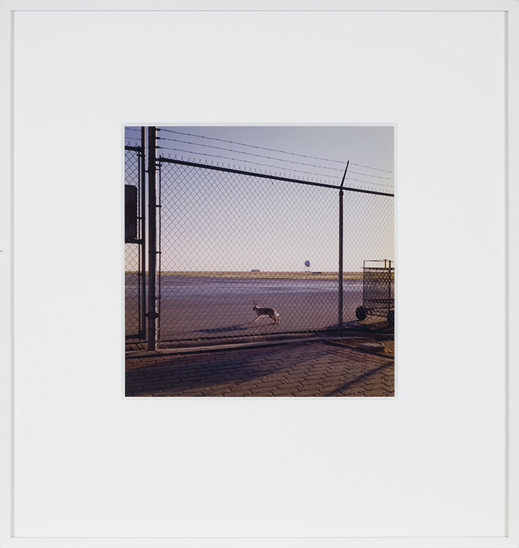 Perfect Snapshot par Chris Gergley