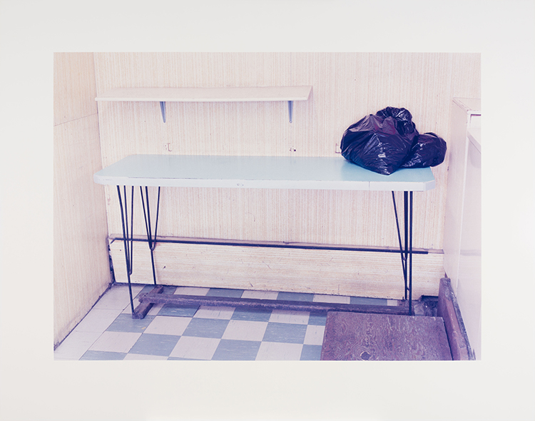 Untitled (Laundry Counter) by Howard Ursuliak