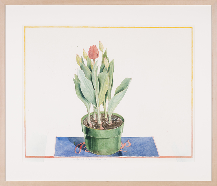 Bass Ale and Tulips par William Griffith Roberts