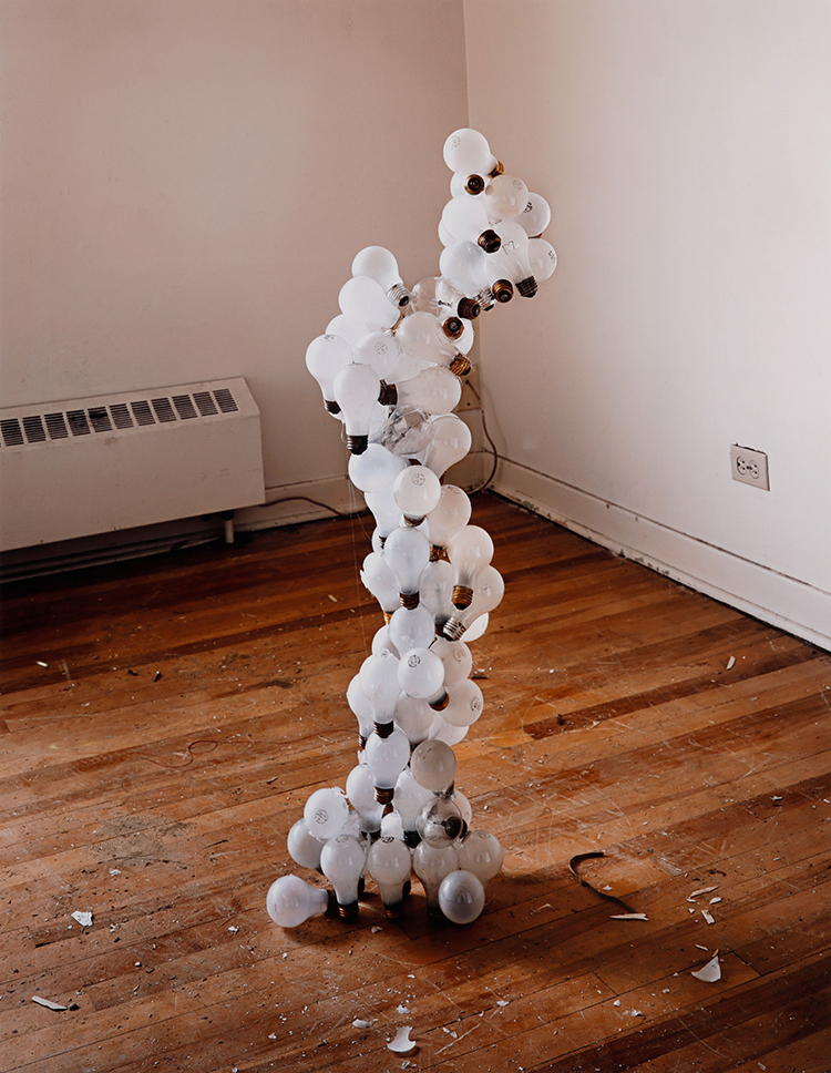 Cluster of Bulbs by James Nizam