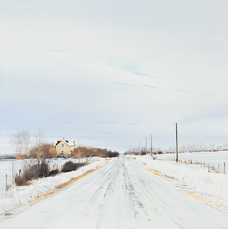 Country Road Looking North par John McKee