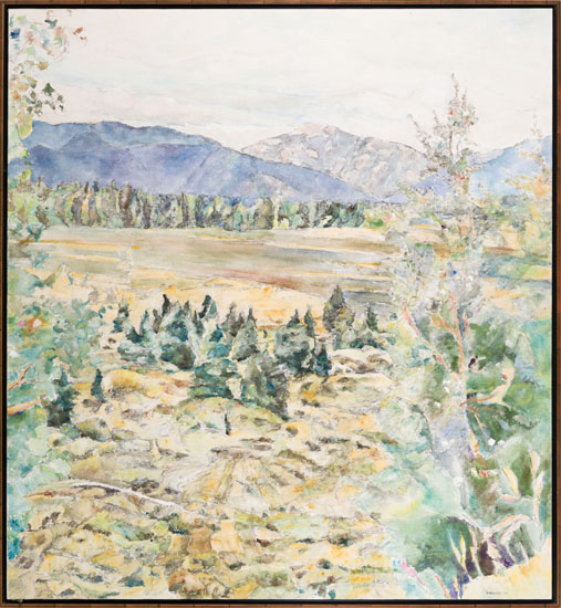Mountain Meadow, Alberta Foothills by Dorothy Knowles