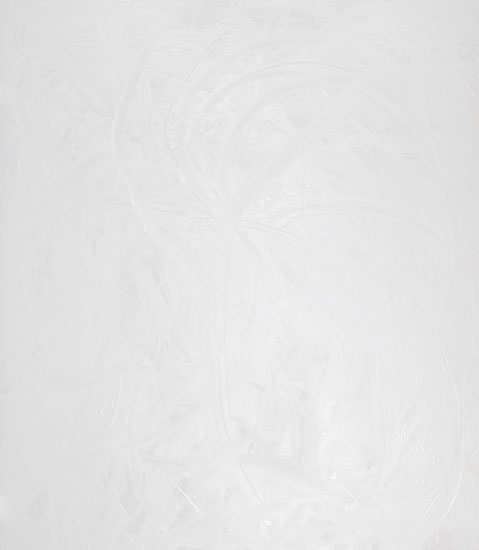 Titanium White #2 by Ronald Albert Martin