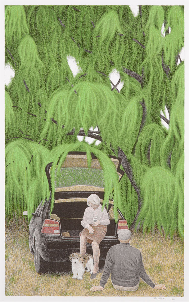 Willow by Alexander Colville
