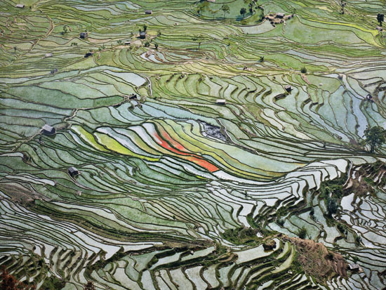 Rice Terraces #2, Western Yunnan Province, China, 2012 by Edward Burtynsky