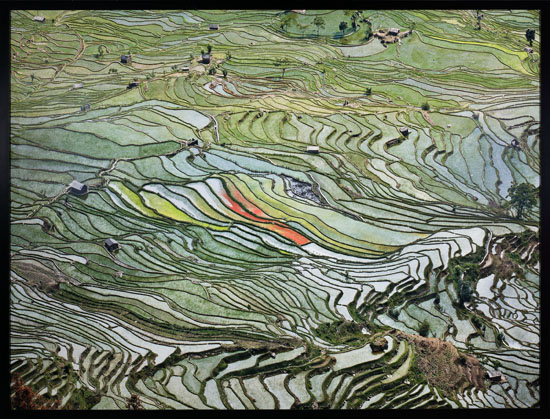 Rice Terraces #2, Western Yunnan Province, China, 2012 by Edward Burtynsky