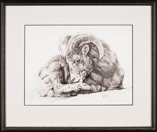 Ram Bateman, Robert - Thumb 3