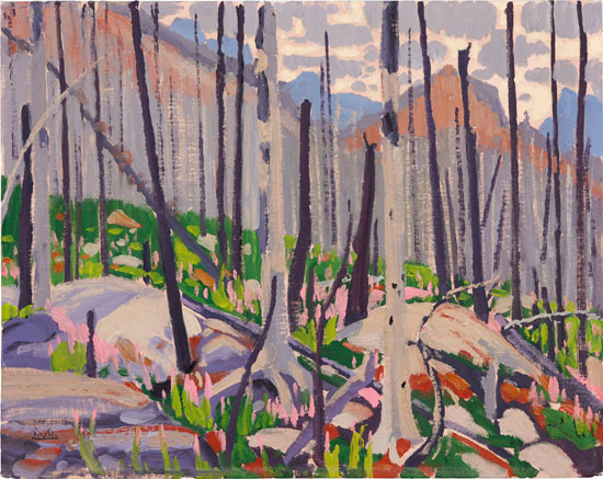 Fireweed and Burnt Timber, Storm Mountain par Illingworth Holey Kerr