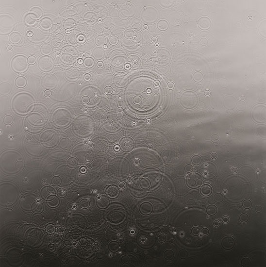 Water Droplets by Adam Fuss