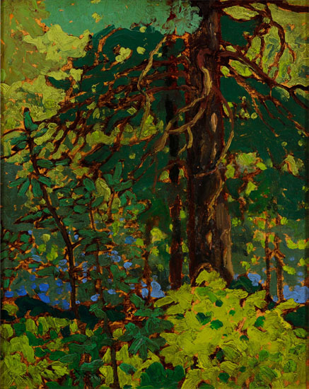 Lake of the Woods by Frank Hans (Franz) Johnston