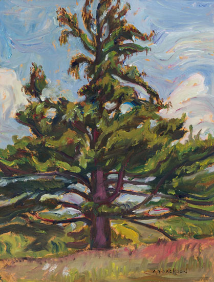 Old White Pine, Madoc, Ontario par Alexander Young (A.Y.) Jackson