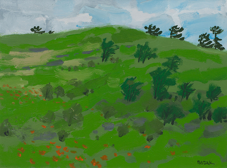 Poppies in a Green Field by Bruno Joseph Bobak