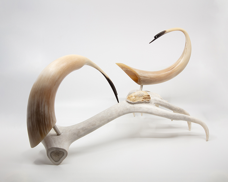 Muskox Horn Snow Geese by Jim Raddi