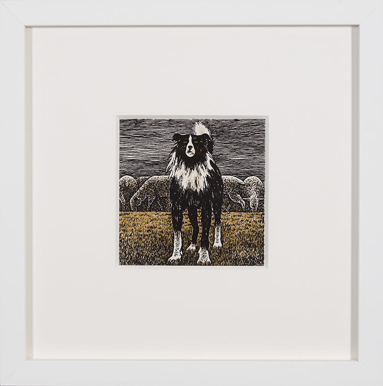 Border Collie par Alexander Colville