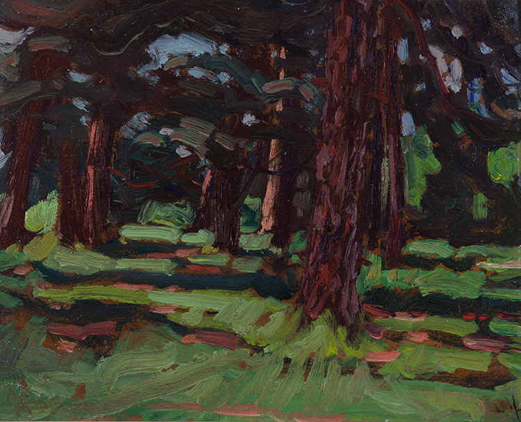 Field Pines by James Edward Hervey (J.E.H.) MacDonald
