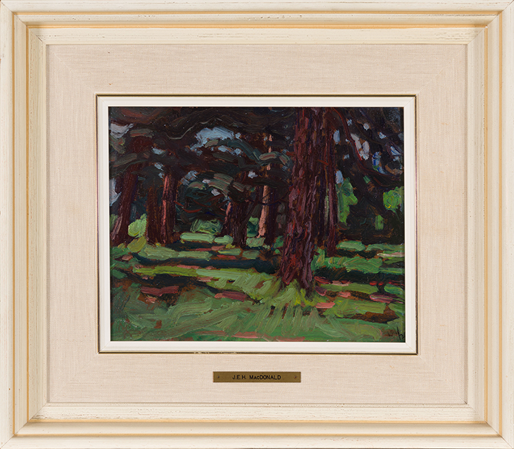 Field Pines par James Edward Hervey (J.E.H.) MacDonald