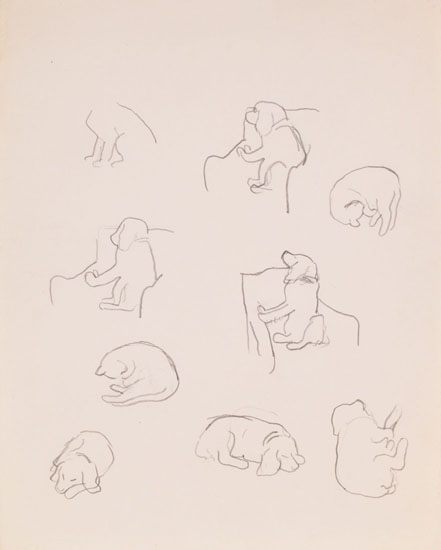 Dog and Cat Studies by William Goodridge Roberts