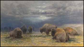 Buffalo Grazing During the Approaching Storm by Frederick Arthur Verner vendu pour $17,250
