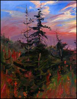 Fireweed and Fire Sky, Whistler by Daniel Izzard sold for $1,287