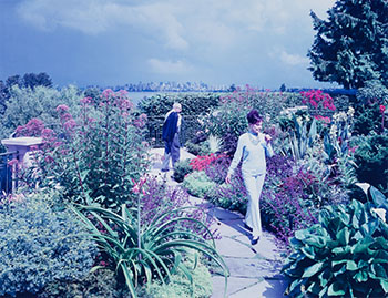 On the Terrace Garden, Joe and Rosalie Segal with Cosmos altrosanguineus by Scott McFarland vendu pour $4,688