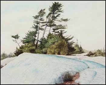 Pines on South Benjamin Island (00018/TN126) by Ivan Trevor Wheale
